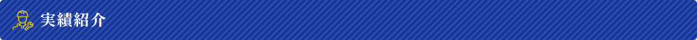 実績紹介